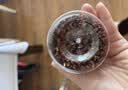 稻稻熊红花椒55g  一级麻花椒粒特麻  火锅干锅卤料炖肉 厨房香辛调料 实拍图