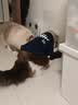 欢宠网宠物狗狗衣服猫咪猫小狗小猫泰迪比熊猫猫小型犬幼犬冬季保暖服饰 实拍图
