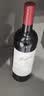 奔富（Penfolds）蔻兰山西拉/设拉子赤霞珠干红葡萄酒 750ml*6瓶【澳版】 实拍图