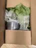 京东绿植绿萝盆栽除甲醛花卉绿植办公室新房净化空气 120款10盆源头直发 实拍图