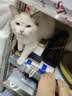 猫人男士内裤男冰丝男抗菌大码平角裤男生凉感透气四角短裤头裤衩 实拍图
