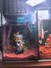 尼特利（NETLEA）水草基肥缓释肥水草肥料水藻根肥鱼缸水族草缸专用综合底肥 基肥120g(分装) 实拍图