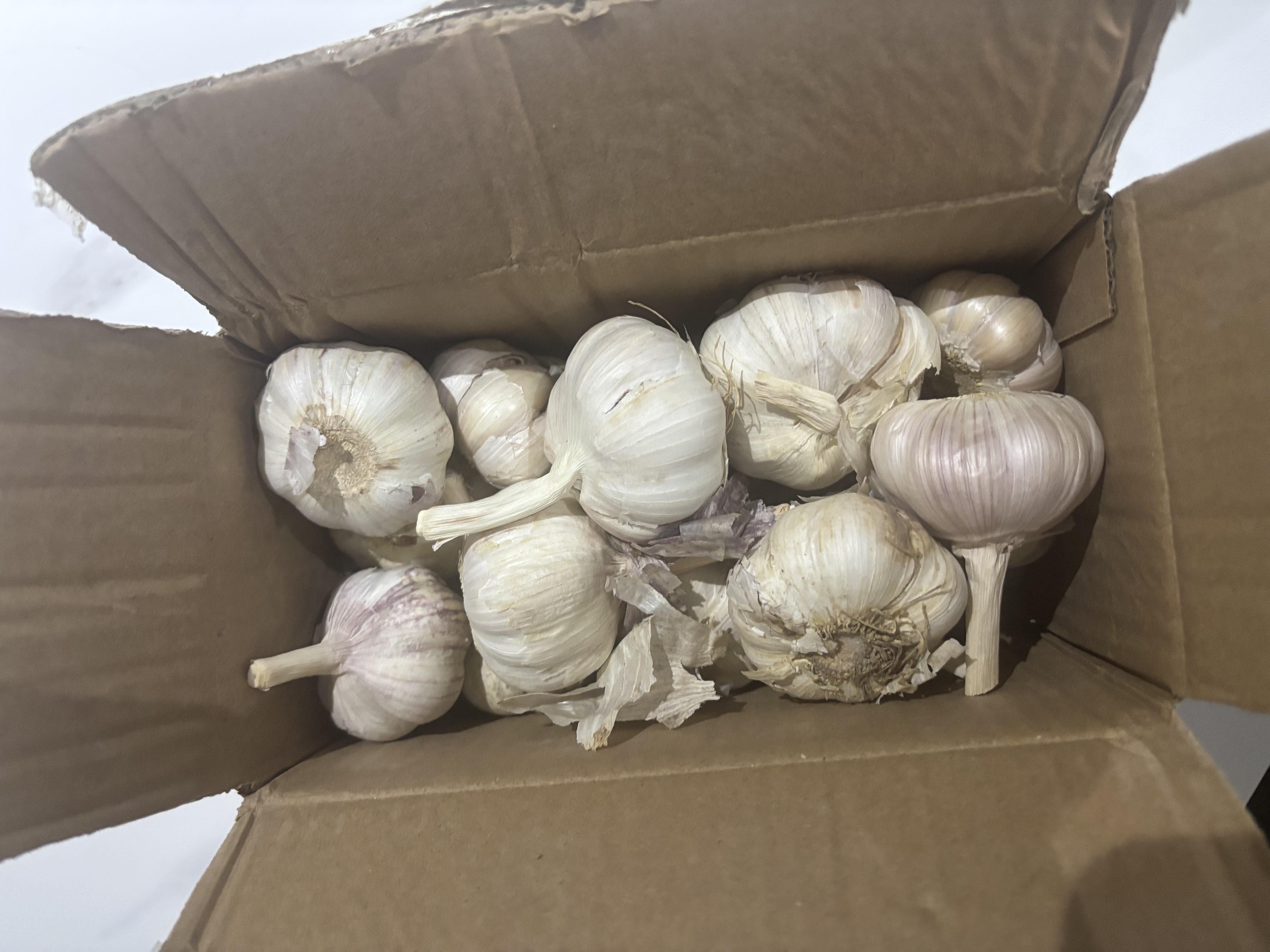 京鲜生河南杞县大蒜带皮新鲜干蒜 净重2斤单果5-5.5cm 源头直发包邮 实拍图