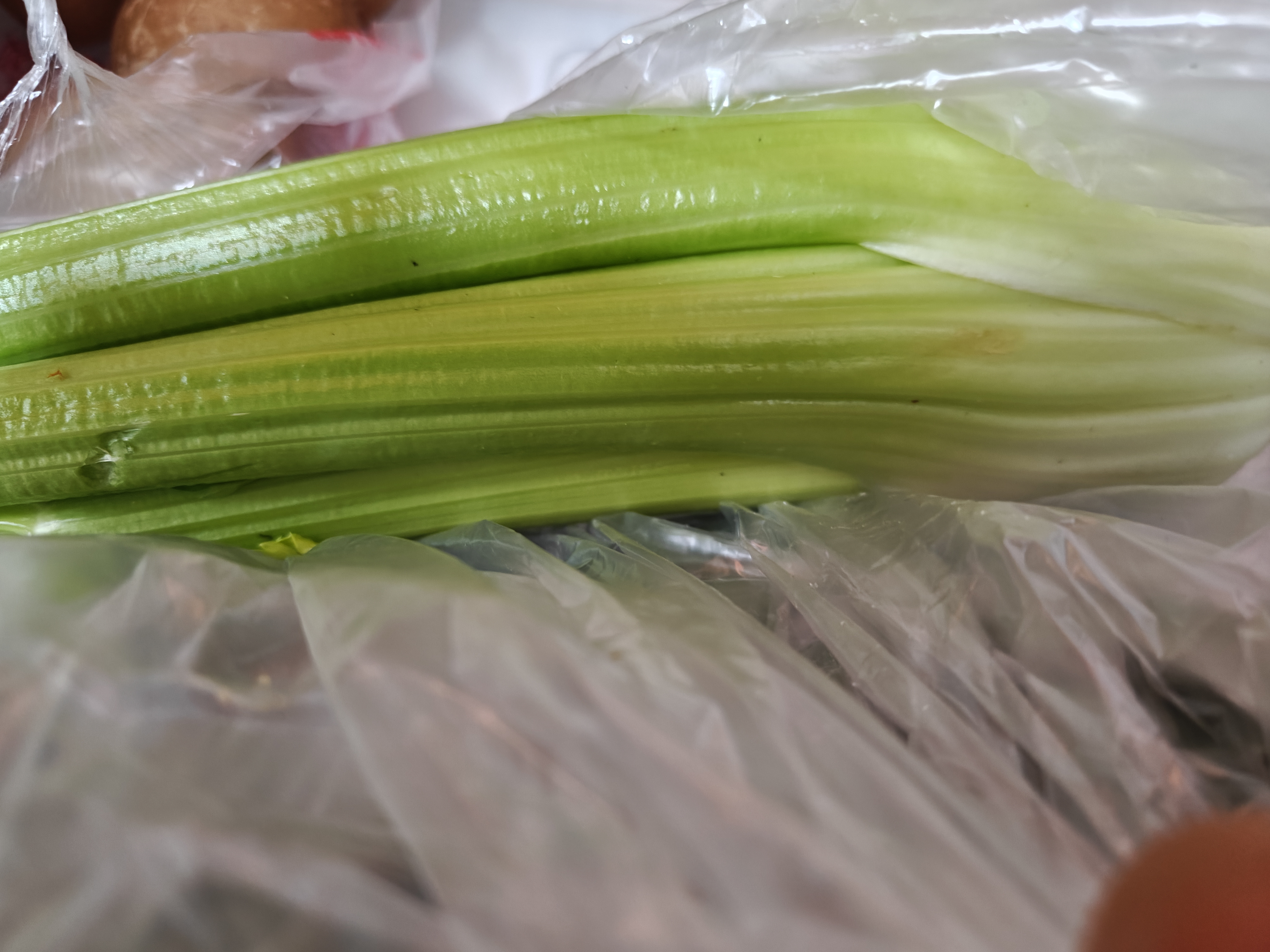 京地达山东水果西芹 净重3斤 榨汁芹菜蔬菜源头直发包邮 实拍图