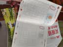 彩色版幼小衔接铅笔描红本 数字描红0-10 点阵控笔练字帖 幼儿3-6岁适用 助力轻松上小学 幼升小数字练字帖 科学编排 大开本一年级田字格本幼儿园大班练习册 实拍图