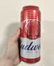 百威经典红罐啤酒552ml*12罐整箱装国庆出行 实拍图