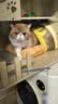 皇家猫粮 室内成猫粮 I27 通用粮 12月以上 4.5KG 实拍图