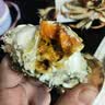 【活蟹】蟹叁钳庄 全母大闸蟹 去绳足重3.0-3.3两 8只鲜活生鲜现货螃蟹礼盒 实拍图