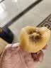 佳沛（zespri）金奇异果25-27粒原箱特大果124-146g猕猴桃水果礼盒 实拍图