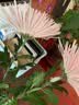 【绚烂开放】烟花菊奥利粉 3枝鲜花送礼物悦己家用 实拍图