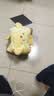 赛亿 SHINEE可拆洗电热水袋暖手宝暖宝宝暖水袋充电暖手袋暖水宝暖宫热敷神器 实拍图