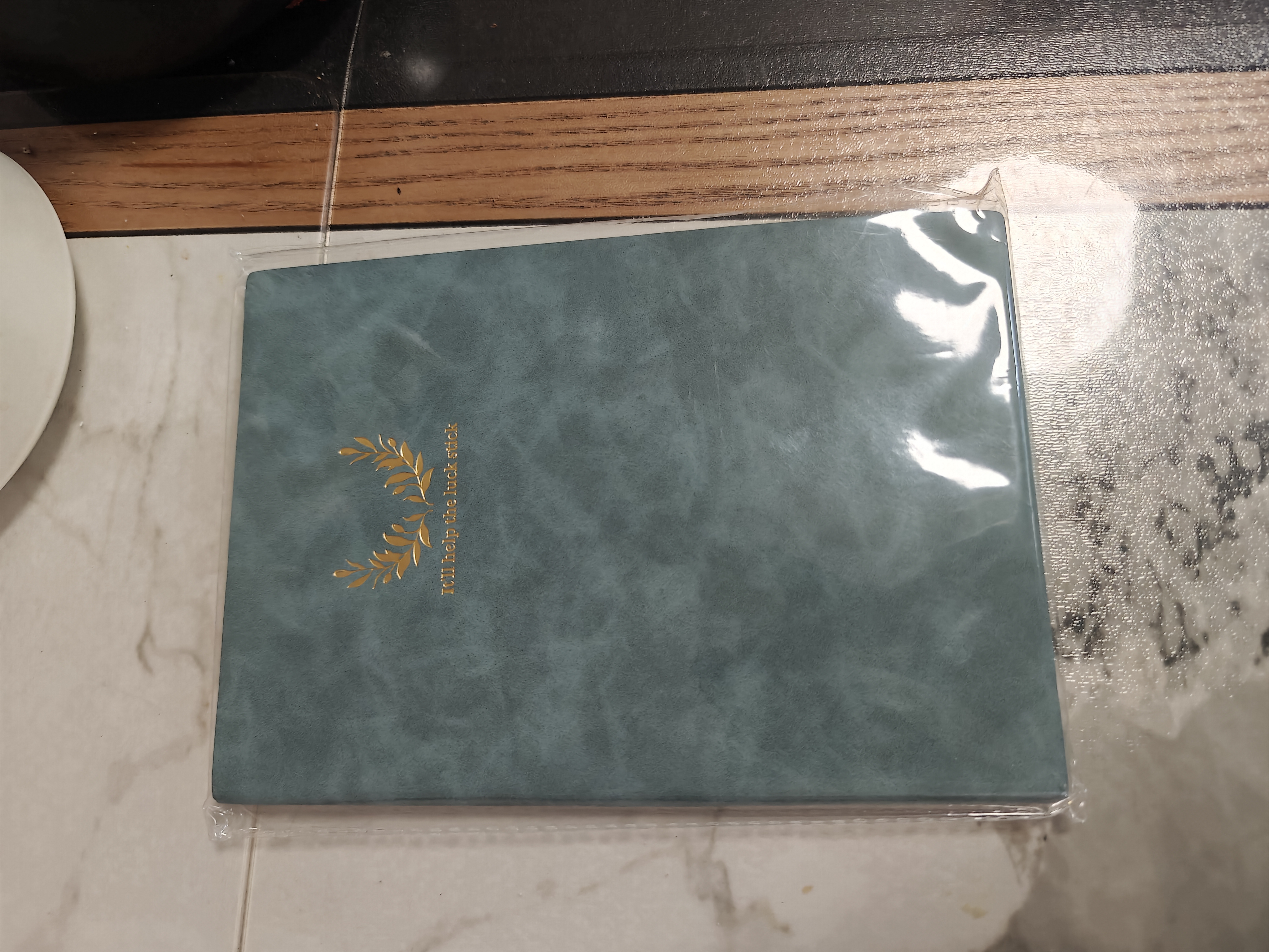 得力（deli）A5时尚印花羊巴皮皮面本工作笔记本办公记事本复古皮面本BP152(天蓝） 实拍图