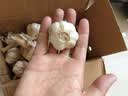 京鲜生河南杞县大蒜带皮新鲜干蒜净重3斤单果4.5-5cm 源头直发包邮 实拍图