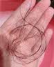 黛教授防脱洗发水育发固发养发生姜侧柏叶增发密发控油去屑男女士专用 实拍图