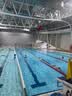 速比涛（Speedo）泳裤男大标logo抗氯经典及膝泳裤防晒速干京东专供  麦浪暖橙 2XL 实拍图