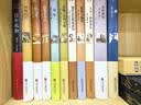 世界十大名著（套装共10册 精装版）【经典文学小说】大卫·科波菲尔+钢铁是怎样炼成的+悲惨世界+安娜·卡列尼娜+傲慢与偏见+巴黎圣母院+童年+呼啸山庄+红与黑+飘【初中以上及成人】 实拍图
