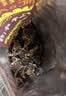 思奇香 风干牛肉干 麻辣味350g 四川特产老字号超干牛肉干 实拍图