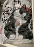 收纳博士【吾皇万睡系】真空收纳袋压缩13件套【5特大3中3小1手泵1电泵】 实拍图