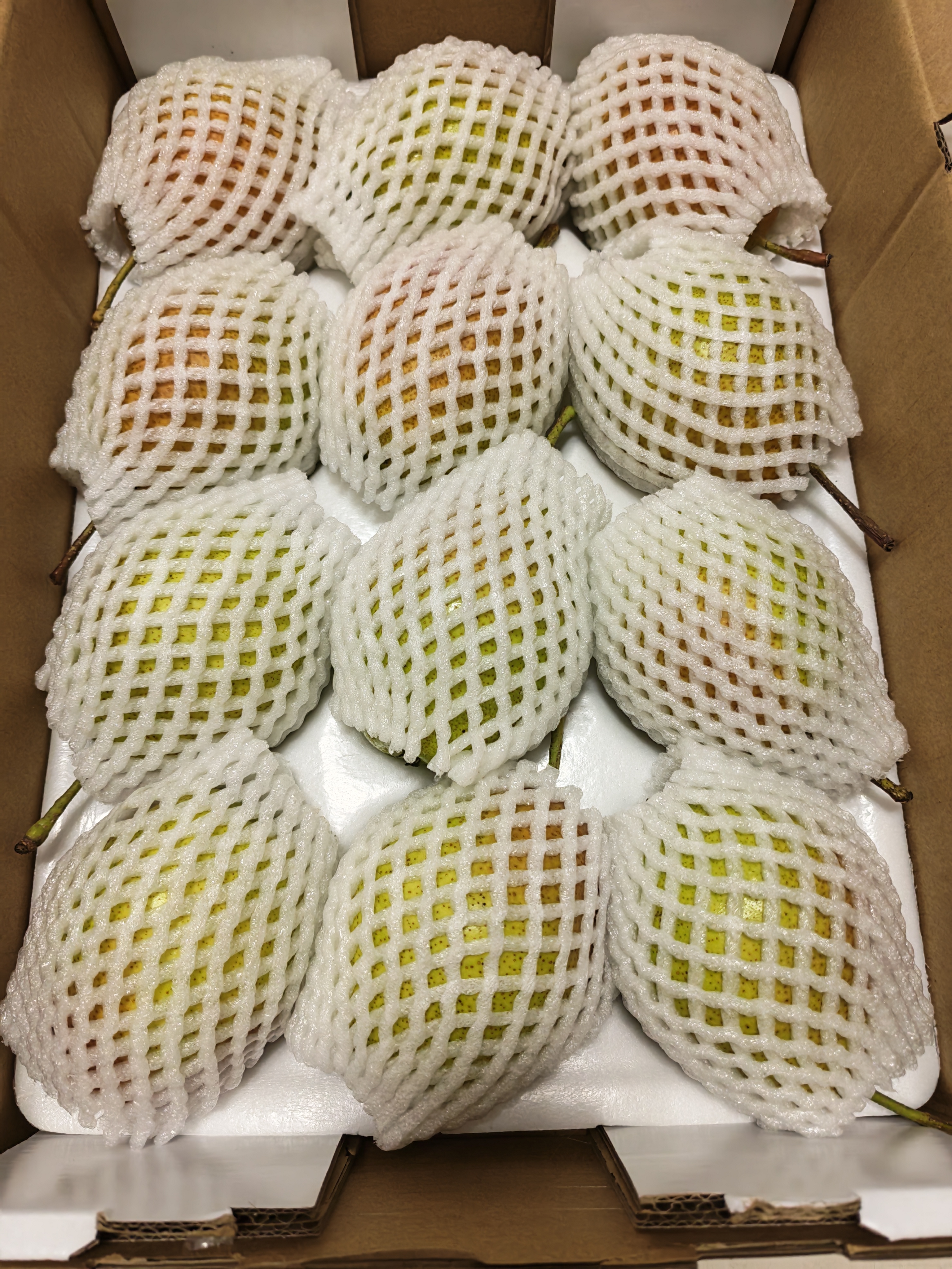 京鲜生【应季新梨】红香酥梨 净重5斤装 单果100g+ 新鲜水果 实拍图