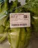 罗马生菜约500g 实拍图