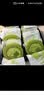 鲜京采the Roll'ING联名 黑金抹茶瑞士卷 500g/8片冰淇淋蛋糕面包甜品 实拍图