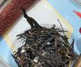 大益TAETEA茶叶普洱茶7572熟茶150g/饼经典标杆口粮2501/2601批次混发 实拍图