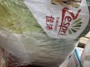 佳沛（zespri）新西兰金奇异果22粒巨大原箱146-175g猕猴桃中秋节礼品送水果礼盒 实拍图