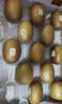 佳沛（zespri）新西兰金奇异果18粒优选果103-124g猕猴桃水果礼盒 实拍图