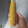 京鲜生东北黄糯玉米300g*8棒 甜黏玉米低脂早餐代餐粗粮真空装 源头直发 实拍图