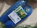 西葫芦约750g 实拍图