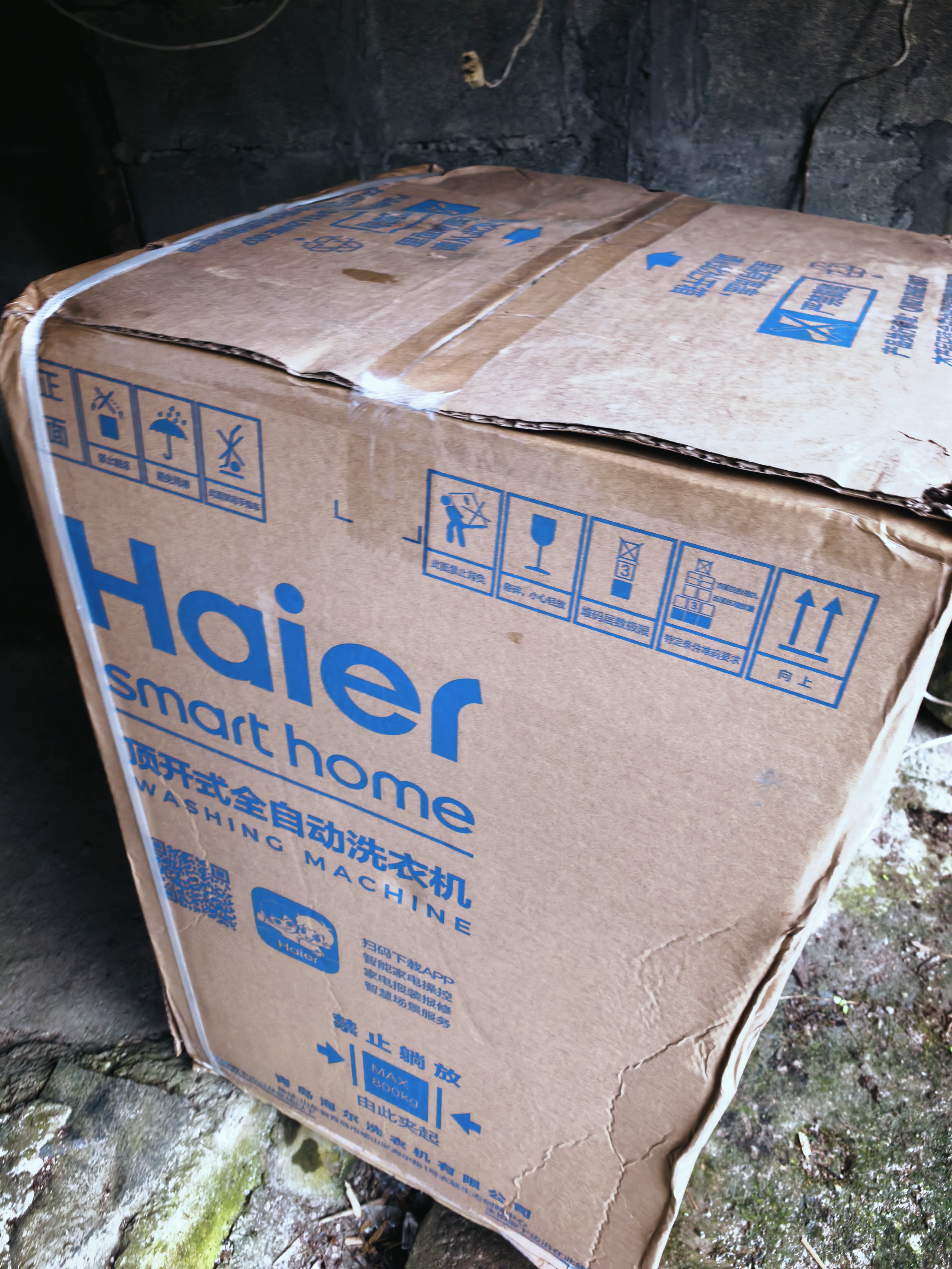 海尔（Haier）海尔洗衣机2026年新款波轮全自动大容量小型家用神器升级除菌除螨洗超净洗统帅以旧换新国家补贴 直驱变频丨智慧洗丨旋瀑洗1.35洗净比 波轮 10kg 实拍图