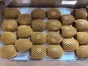 佳沛（zespri）新西兰金奇异果12粒特大果124-146g猕猴桃中秋节礼品送水果礼盒 实拍图