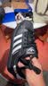 阿迪达斯（adidas）adidas三叶草贝壳头SUPERSTARII男女休闲鞋 JI0079 36.5码 实拍图