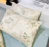 红豆水洗棉床上四件套家用卧室亲肤被套180x220cm被罩宿舍单人三件套 仙草 【触感细腻 舒适裸睡】 2.0m 床单款 四件套-被套200*230cm 实拍图