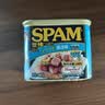 世棒（SPAM）午餐肉罐头清淡口味340g 早餐火锅烧烤香锅 泡面户外露营即食 实拍图