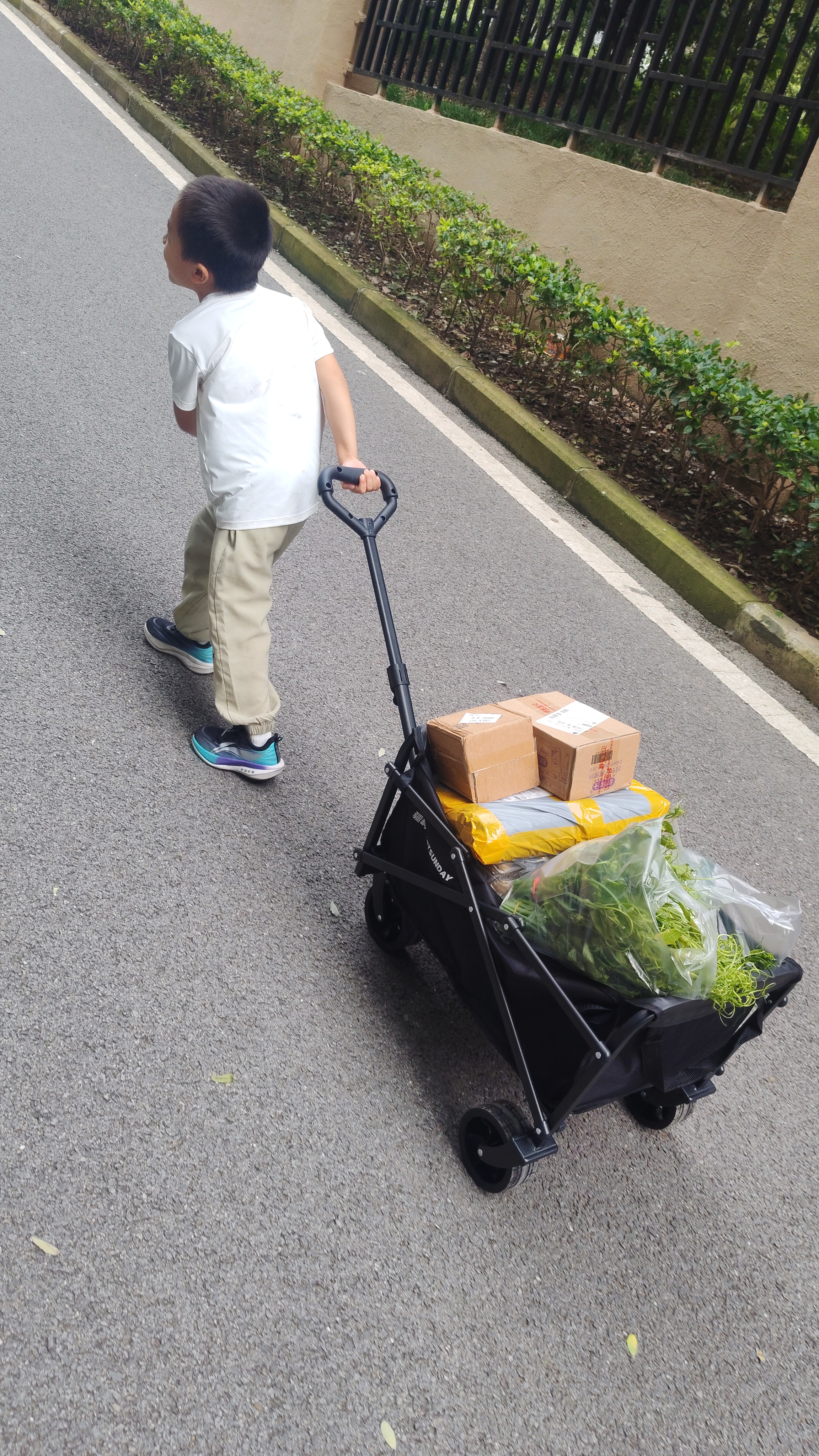疆屿户外折叠露营车摆摊购物买菜旅行野营野餐小拉车沙滩车取快递推车 实拍图