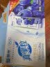 蒙牛真果粒蓝莓味牛奶饮品250g*12盒 新老包装 送礼礼盒 实拍图