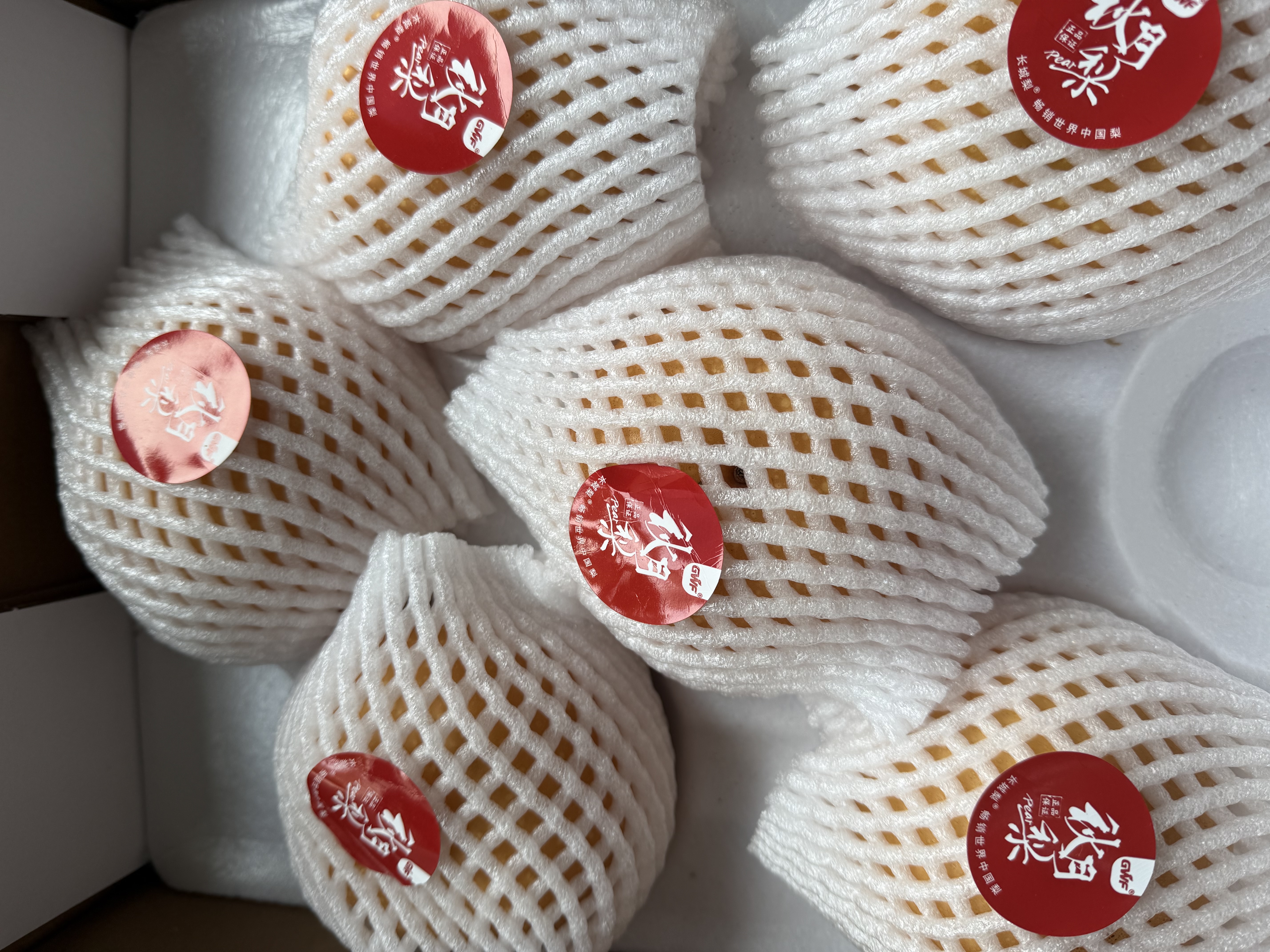 京鲜生长城莱阳冰糖秋月梨 净重4.5斤装 大果5-7粒 单果300g+ 新鲜水果 实拍图