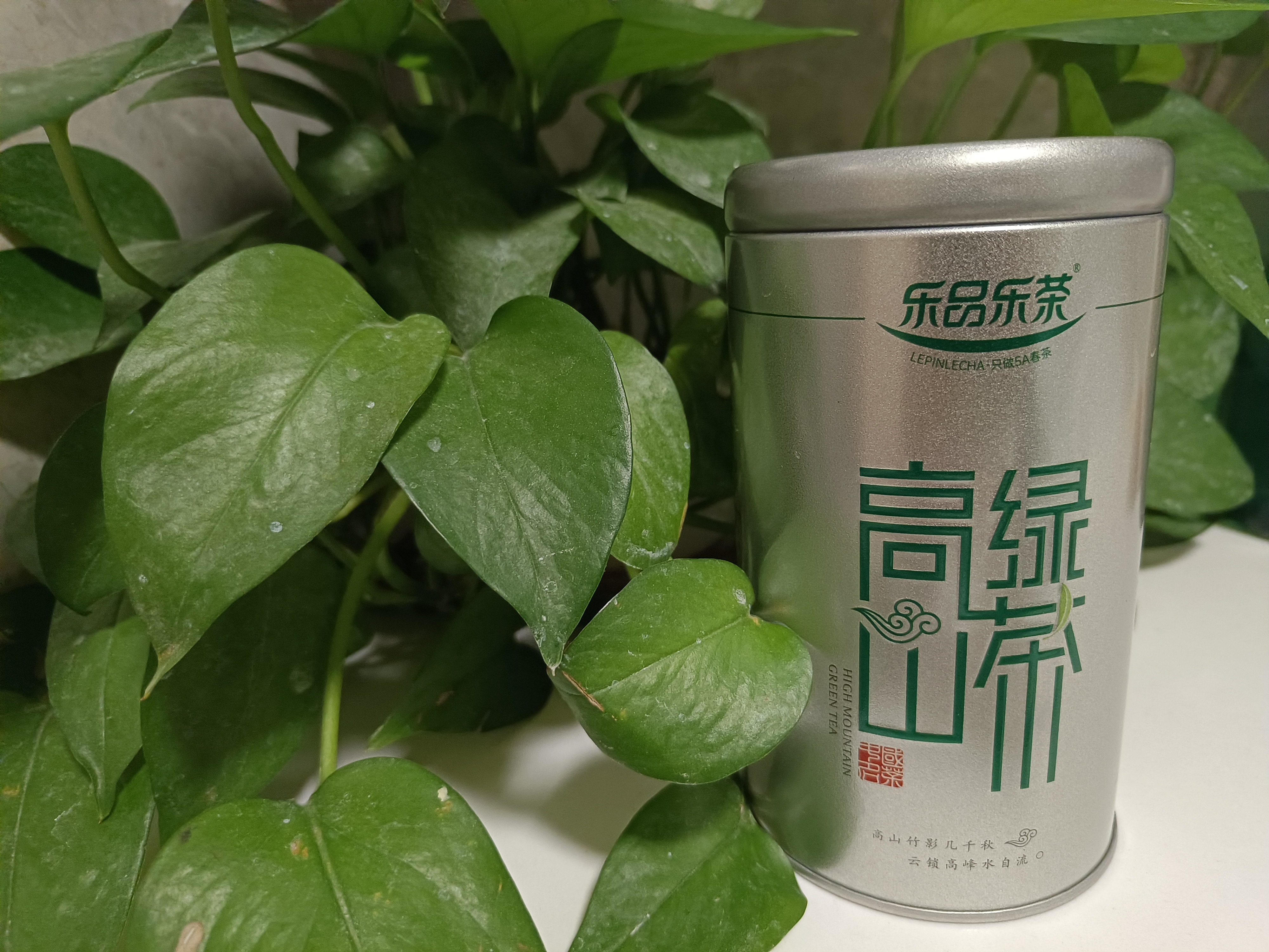 乐品乐茶高山绿茶浓香耐泡高性价比口粮茶特级明前春茶 500g自饮2026新茶 实拍图