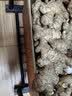 京鲜生 云南小黄姜 净重5斤 新姜生姜 新鲜现挖 单果50g+ 源头直发包邮 实拍图