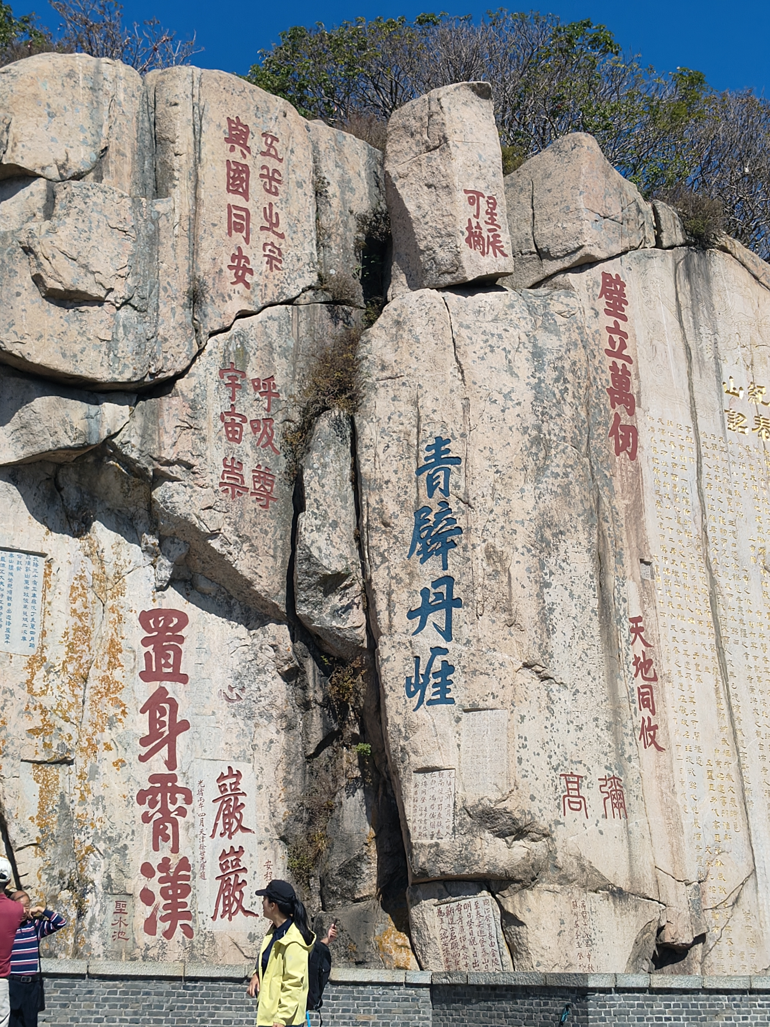 京东京造【初行】户外登山杖直柄伸缩拐杖防身防滑手杖爬山徒步装备 ST100 实拍图