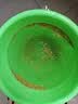 福东海浮小麦500g  泡水煮水浮小麦 搭黄芪干姜片祛湿止汗养生茶 实拍图