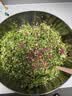 九阳（Joyoung）绞肉机家用绞馅机碎肉机电动多功能料理搅拌打肉馅蒜蓉机不锈钢磁吸无孔搅肉机LA356 实拍图