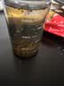 富光塑料水杯子tritan男女学生儿童夏季大容量便携运动水壶茶水分离杯 实拍图