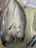 三都港 南美黄鱼鲞600g/2条装 烧烤食材 深海鱼 黄花鱼 生鲜 鱼类 实拍图