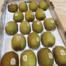 佳沛（zespri）新西兰金奇异果18粒超大原箱175-204g猕猴桃水果礼盒 实拍图