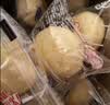 港荣蒸蛋糕淡糖450g小面包蛋糕早餐糕点甜品零食下午茶礼品盒 实拍图