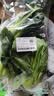 上海青约500g(油菜) 实拍图