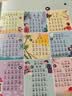 奕思瑞拼音卡片幼小衔接拼音拼读训练儿童识字卡片3-6岁认字大卡一年级 实拍图