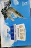 GUO LIAN国联盐冻大虾无冰净重3斤特大号45-60只白对虾生鲜海鲜 实拍图